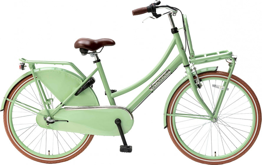 popal | meisjesfiets | daily dutch basic+ 24 | staal | pistache
