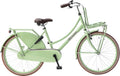 popal | meisjesfiets | daily dutch basic 24 | staal | pistache