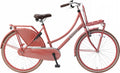 Popal | Meisjesfiets | Daily Dutch Basic 26 | Staal | Roze