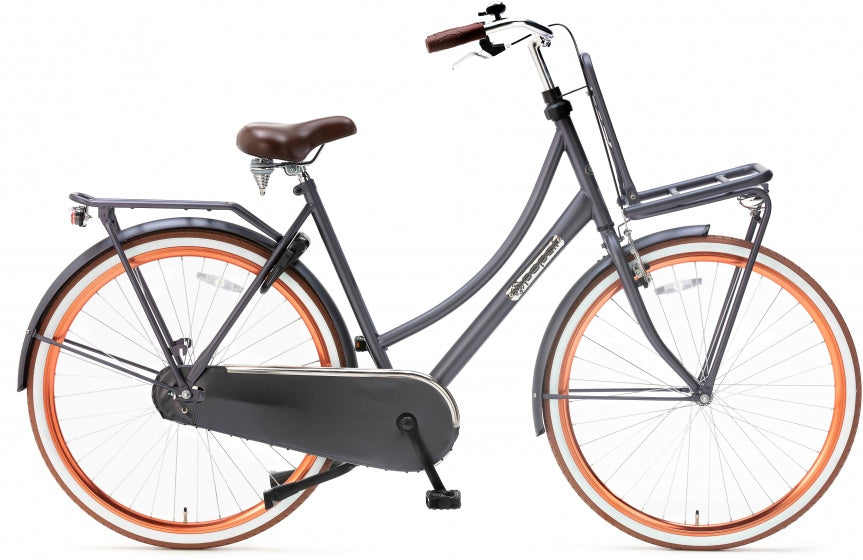 Popal | Damesfiets | Daily Dutch Basic 28 | Staal | Blauw