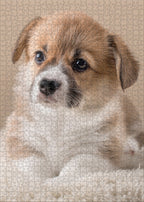 legpuzzel Puppy 66 x 47 cm beige 1000 stukjes