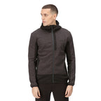 Regatta Bresdon softshelljas heren zwart grijs maat XL