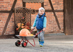 Rolly toys Stalen kruiwagen junior zilver rood