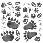 muurstickers Animal Tracks vinyl 70 stuks