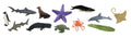 speeldieren oceaanthema junior 7,5 cm 12-delig