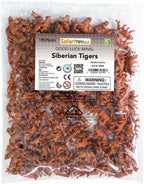 speelset Good Luck Minis Siberische tijgers 2,5 cm 192-delig