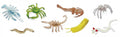 speelset grotdieren junior 4-7,5 cm 48 stuks
