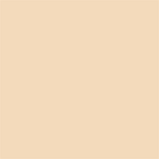 Superior Achtergrondpapier 64 Fawn 2,72 x 11m