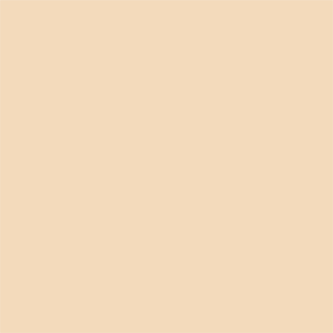 Superior Achtergrondpapier 64 Fawn 2,72 x 11m