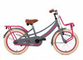 Supersuper Meisjesfiets lola 18 staal roze