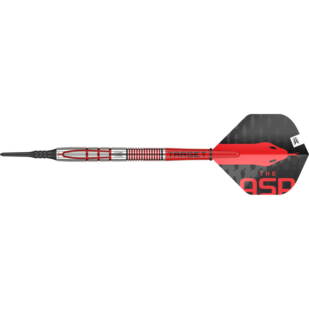 Softtip Target Nathan Aspinall G2 95% 18 gram