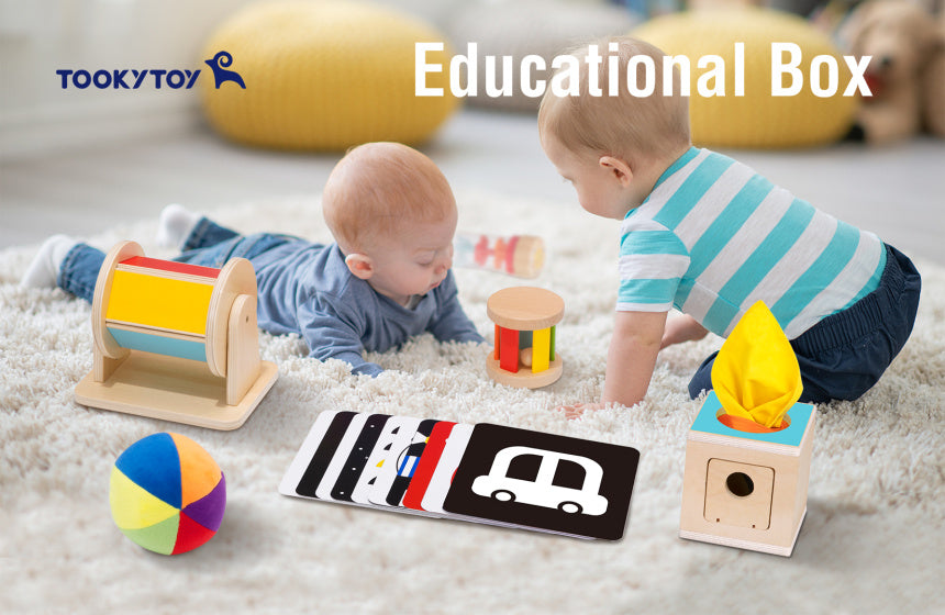 Tooky toy Educatieve Houten Speelgoed Box 0-6 maanden 21-delig