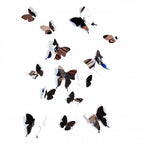 muursticker 3D Vlinders spiegelend 70 x 50 cm PVC