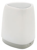 speaker led 12 cm staal zilver 2-delig